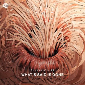  Gunnar Stiller - What`s Said Is Done (2014) 