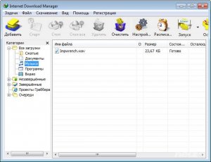  Internet Download Manager 6.23 Build 11 Final + Retail 