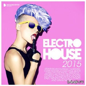  Electro House 2015 (Deluxe Version) (2015) 