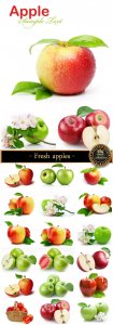  Fresh apples of different varieties - stock photos 