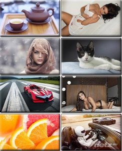  LIFEstyle News MiXture Images. Wallpapers Part (866) 