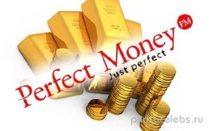      Perfect Money   